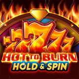 Hot To Burn Hold And Spin™